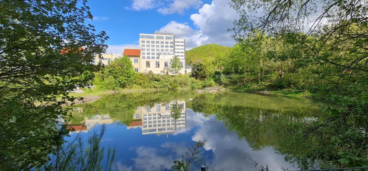 Hasseroeder Burghotel فيرنغروده المظهر الخارجي الصورة
